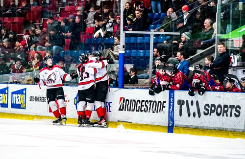 les-vilains-huskies-brisent-la-toile-de-l-armada
