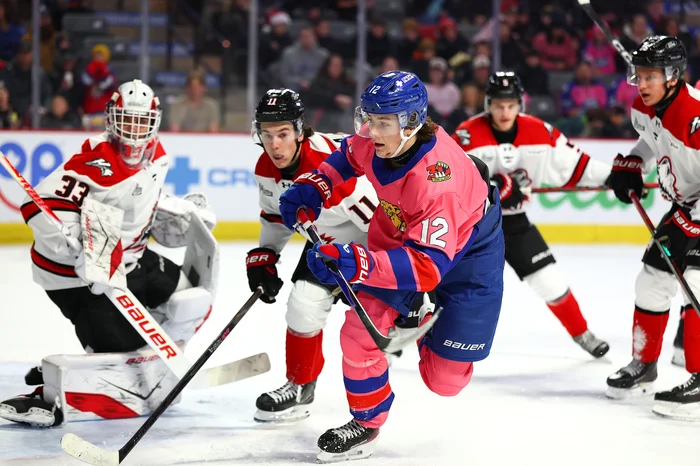 Alexandre Raymond a fait face à 22 tirs des Wildcats.