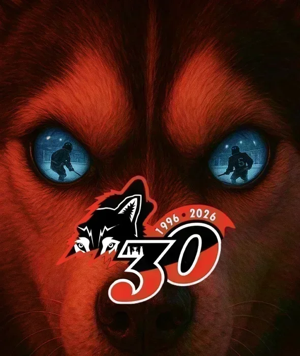 Un regard sur la meute 2025-2026