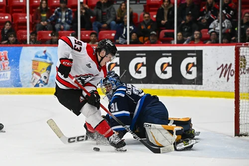 les-saguenéens-goûtent-à-la-husky-game