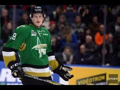 David Noël un chemin jusqu'à la ECHL !