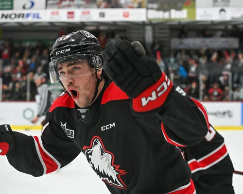 des-huskies-en-feu-éteignent-les-olympiques-pour-de-bon