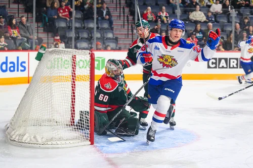 Moosehead vs Wildcats