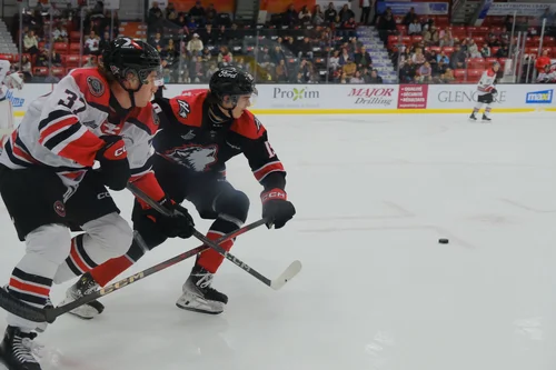 les-huskies-n-y-peuvent-rien-devant-la-muraille-mercer