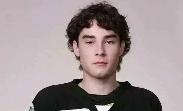 Un attaquant réfléchi et combatif : le profil de Sean Dwyer