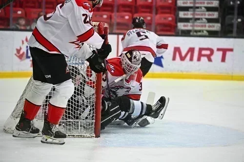 Les Huskies piégés par les Olympiques