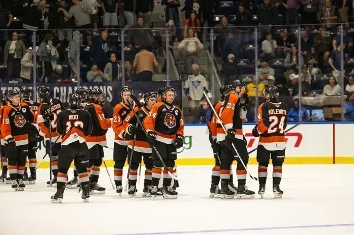 Medicine Hat surprend London et s'en va en finale!
