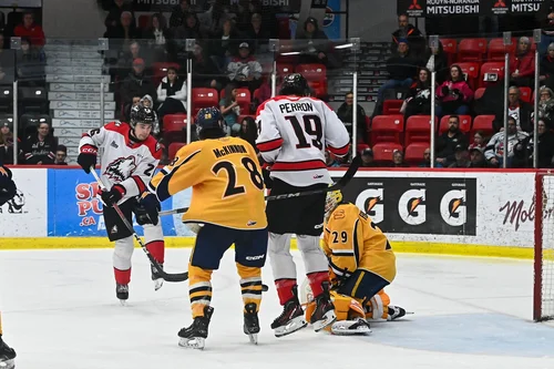 les-huskies-passent-les-cataractes-au-javex