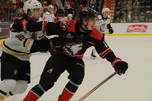 les-huskies-volés-par-les-eagles