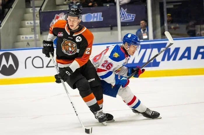 Medicine Hat remporte le duel de félins!