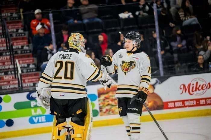Les Tigres profitent des erreurs pour dicter l’issue du match face aux Olympiques