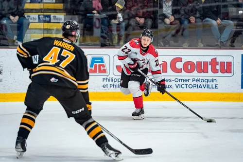 les-huskies-au-pied-du-mur