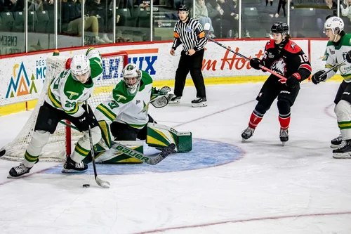 foreurs-huskies