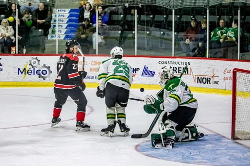 foreurs-huskies