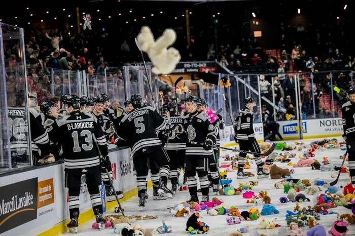 Avalanche de toutous