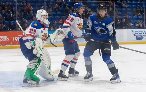Wildcats Moncton