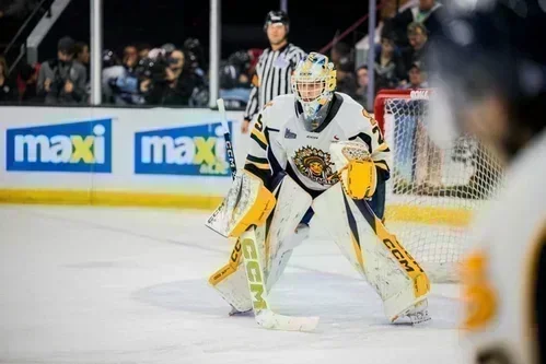 Les Olympiques se buttent à un Mathys Fernandez en santé