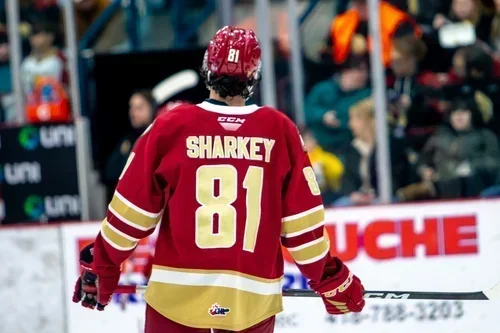 Le saviez-vous : Dawson Sharkey a déjà été un membre des Remparts de Québec !