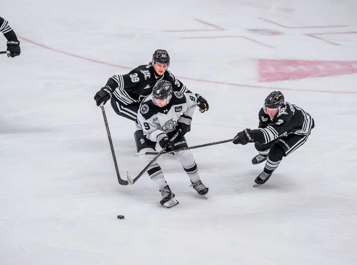 Louis-Étienne halley