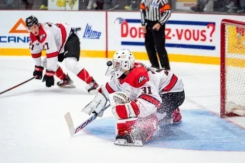 Les Huskies dominent, mais les Tigres les hantent