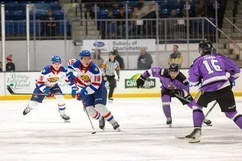 Un week-end de .500 pour Les Wildcats