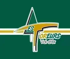 Reinhart et Veilleux s'offrent leurs 40èmes but, dans une défaite en prolongation des Foreurs