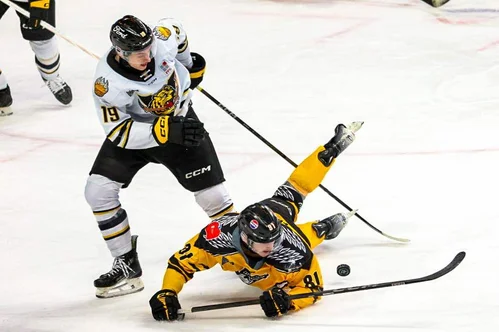 Alexis Bourque