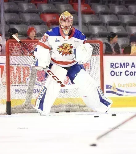La dernière semaine des Wildcats de Moncton