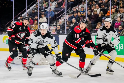 samuel-savoie-et-les-huskies-brillent-à-gatineau