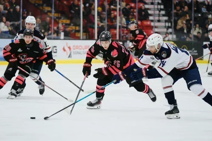 Deux buts de Sharkey coulent les Huskies