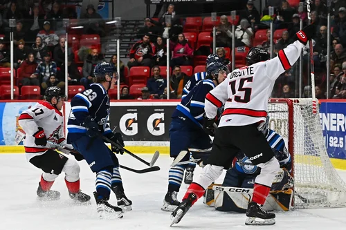 les-saguenéens-goûtent-à-la-husky-game